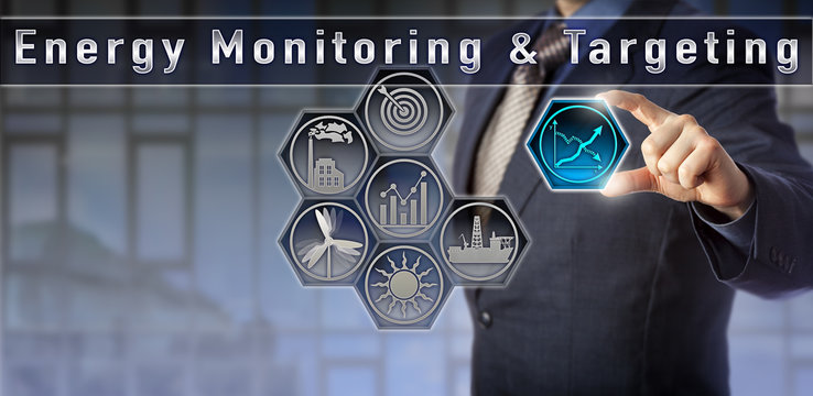Manager observing Energy Monitoring & Targeting