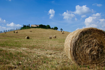 Tuscan Farm