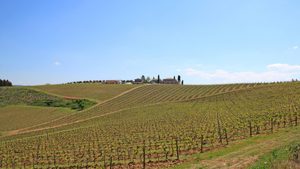 Fototapeta premium Tuscany landscape. Italy