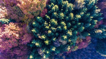 Indiansummer Oberbayern