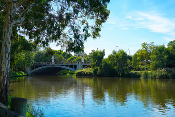 Fototapeta premium King William Road Bridge, Adelaide, South Australia.