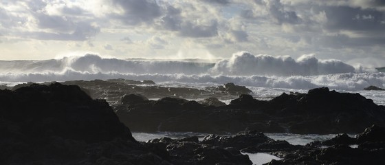 Fototapeta premium waves breaking