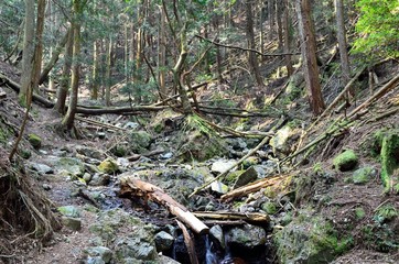 滋賀　音羽山登山道