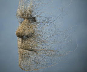 Head made of branches