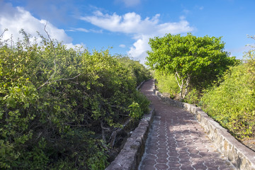 Path to Tortuga Bay or Beach on Santa Cruz Galapagos Islands Ecuador