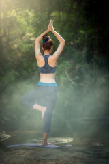 Fototapeta premium YOGA Backside young woman practicing yoga and relaxing in forest of natural.