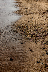 Fototapeta na wymiar sand beach close up