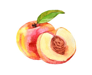 Peach fruit with leaf, watercolor illustration