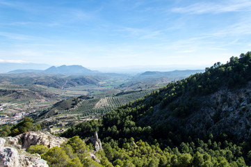 Naklejka premium Idyllic view of olive tree plantation during springtime, in front of Sierra Nevada, Andalusia, Spain
