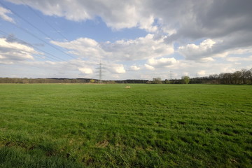 Fototapeta na wymiar open field with power tower