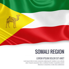 Somali Region flag. Flag of Ethiopian state Somali Region waving on an isolated white background. State name and the text area for your message. 3D illustration.