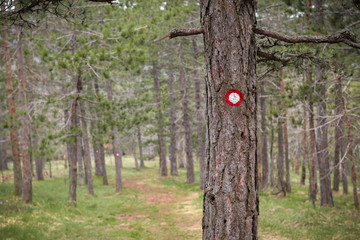 Hiking mark in forest