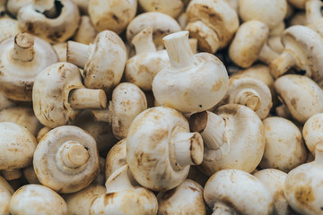 Fresh champignons in the market