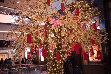 traditional Japanese wishing tree