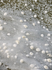 Fototapeta na wymiar Floating foamy pollution