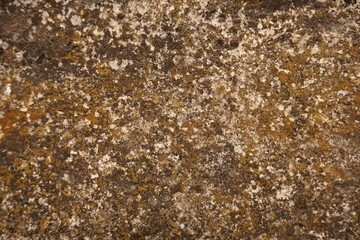 moss worn grainy concrete background