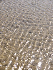 Shallow rippling water