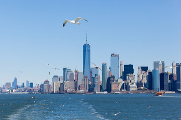 Lower Manhattan Skyline with Seagulls