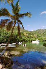 Obraz premium Marigot bay - Caribbean sea - Saint Lucia tropical island