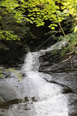 Waterfall - Onanda Park and Barnes Creek Gully - Canandaigua 5