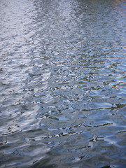 Water ripples