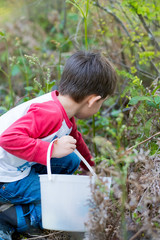 Easter Egg Hunt Outdoors in Oregon