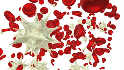 Red and white cells isolated on white background