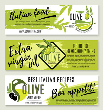 Olive oil banner template set with green branch