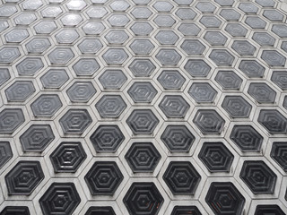 Hexangonal glass bricks