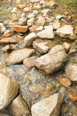 small creek in the Catalan Pyrenees, Spain
