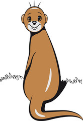 Erdmännchen sitzen süss frech