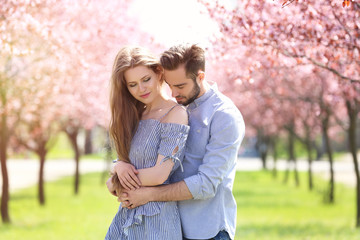 Fototapeta premium Young lovely couple walking in spring park