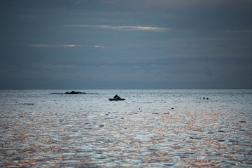 Obraz premium sunset row