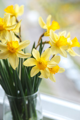 Spring easter background with daffodils in the bucket on the window .Yellow narcissus or daffodil flowers