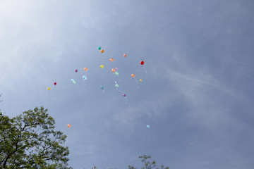 Balloons in the sky/ Multicolored balloons fly to the sky