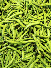 broad bean