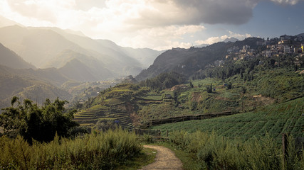 Sapa