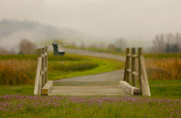 A fairy tale bridge and path with flowers in the foreground and a quiet path meandering into the...