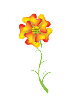 Single flower yellow-orange pansy object white isolated