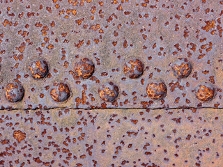 Rusty metal rivets