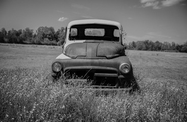 Vintage Truck in a Field