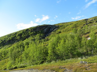 Swedish Mountain