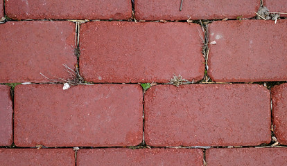 Weathered Brick Path Texture