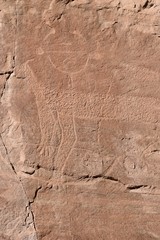 Photo of ancient petroglyphs