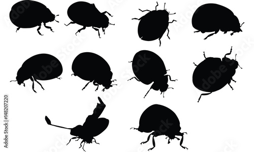 Download "Ladybug Silhouette vector illustration" Stock image and ...