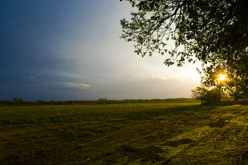 Atardecer Colorido