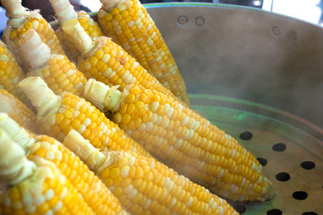 fresh steamed corn