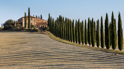 Classic Tuscan landscape: morning sunlight passing through cypress trees paints stripes plowed field