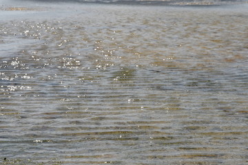 ripples