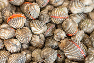 fresh cockles for sale at a market